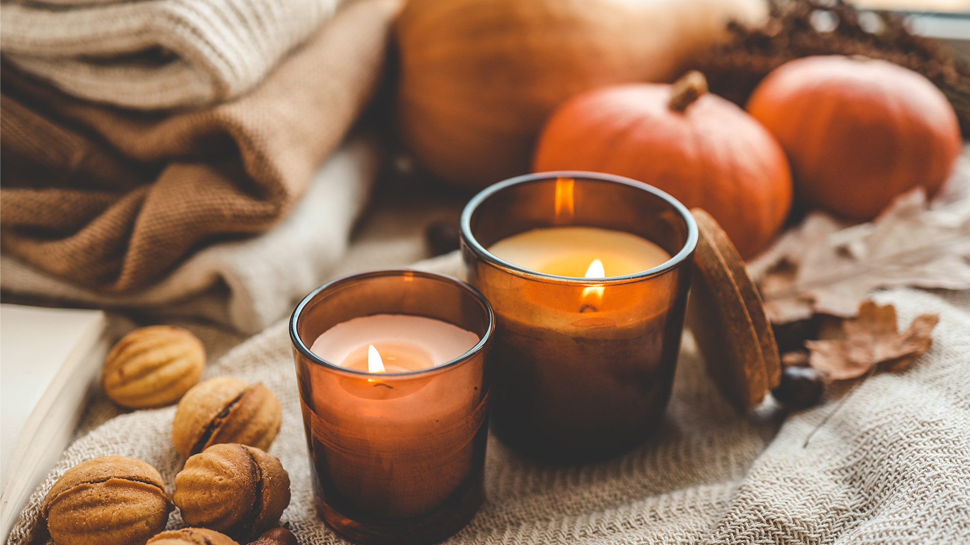 Invigorating the Senses: The Best Woody Scents for Candles